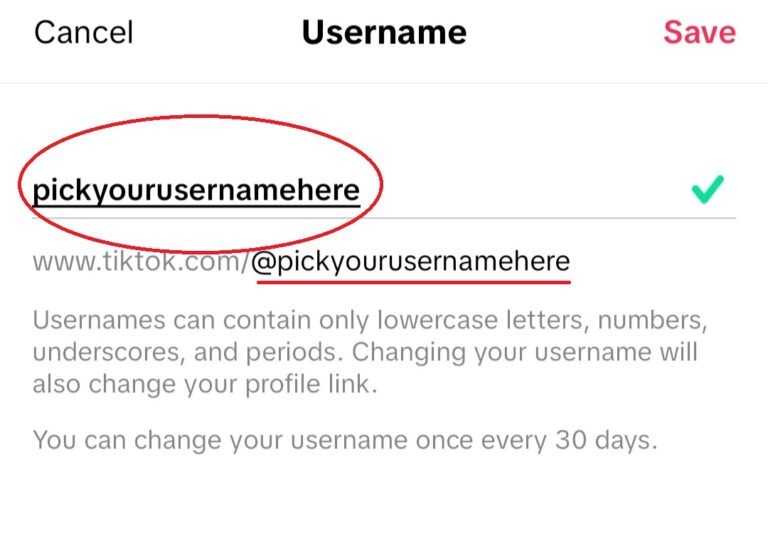How to Change Your TikTok URL (Username) on Mobile Devices