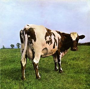 Pink Floyd Atom Heart Mother 55 years album art